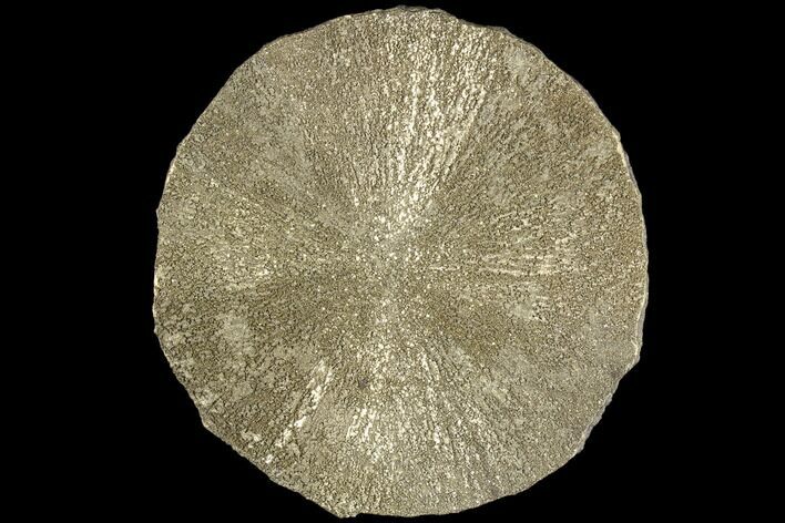 Pyrite Sun - Sparta, Illinois #85682